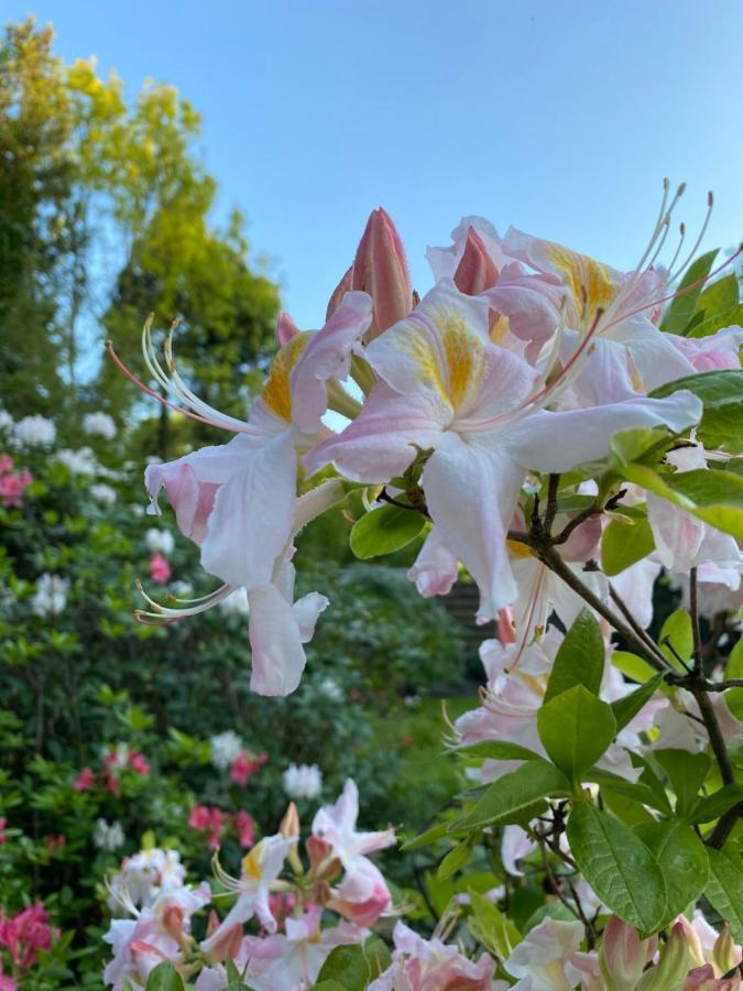 Bed And Breakfast Villa Beldershoek เฮงเงโล ภายนอก รูปภาพ